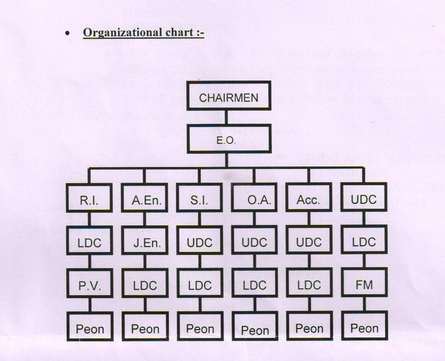 Oraganization Chart